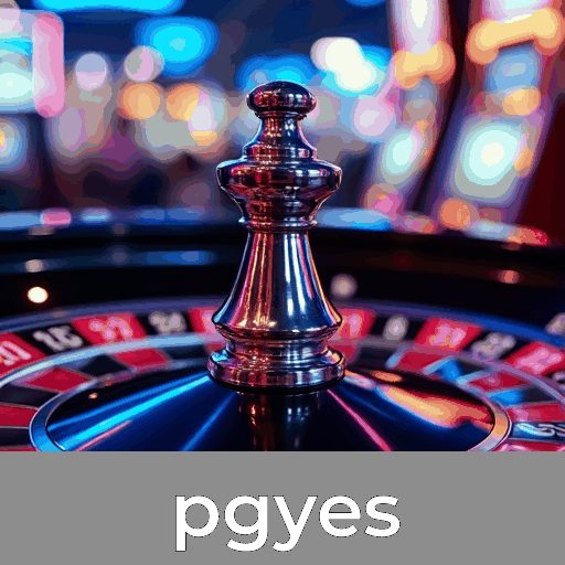 A facilidade e funcionalidade do aplicativo pgyes