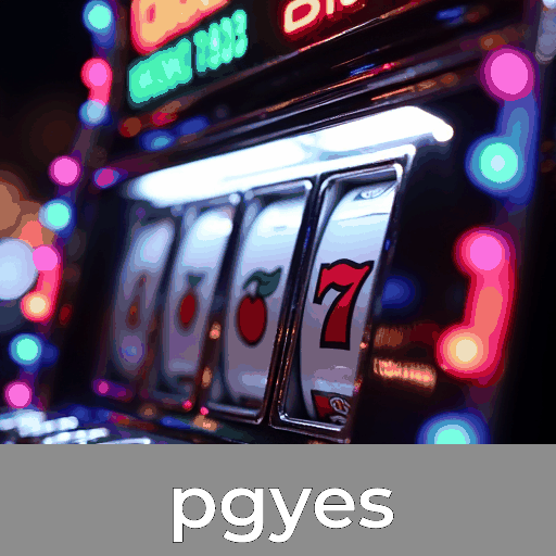 A facilidade e funcionalidade do aplicativo pgyes